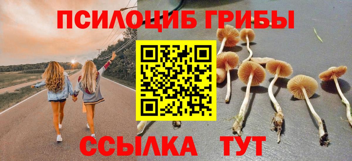 Лесозаводск  Галлюциногенные грибы Magic Shrooms  Вход с VPN  Псилоцибиновые грибы Magic Shrooms 